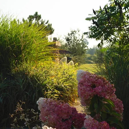 فيلة Pod Mazurskim Niebem Dom Rustykalny *