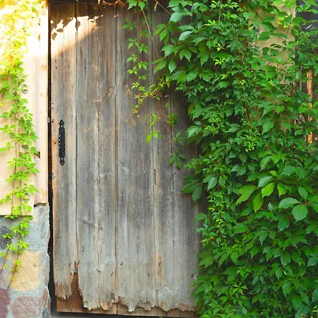 فيلة Pod Mazurskim Niebem Dom Rustykalny