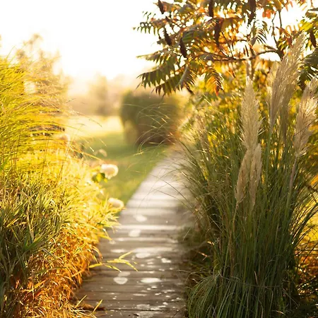 Pod Mazurskim Niebem Dom Rustykalny فيلة بيكي