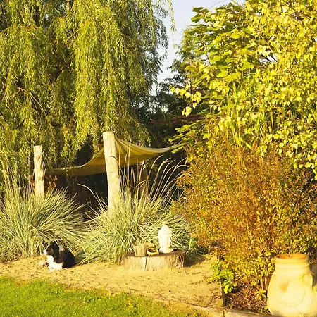 Pod Mazurskim Niebem Dom Rustykalny * بيكي